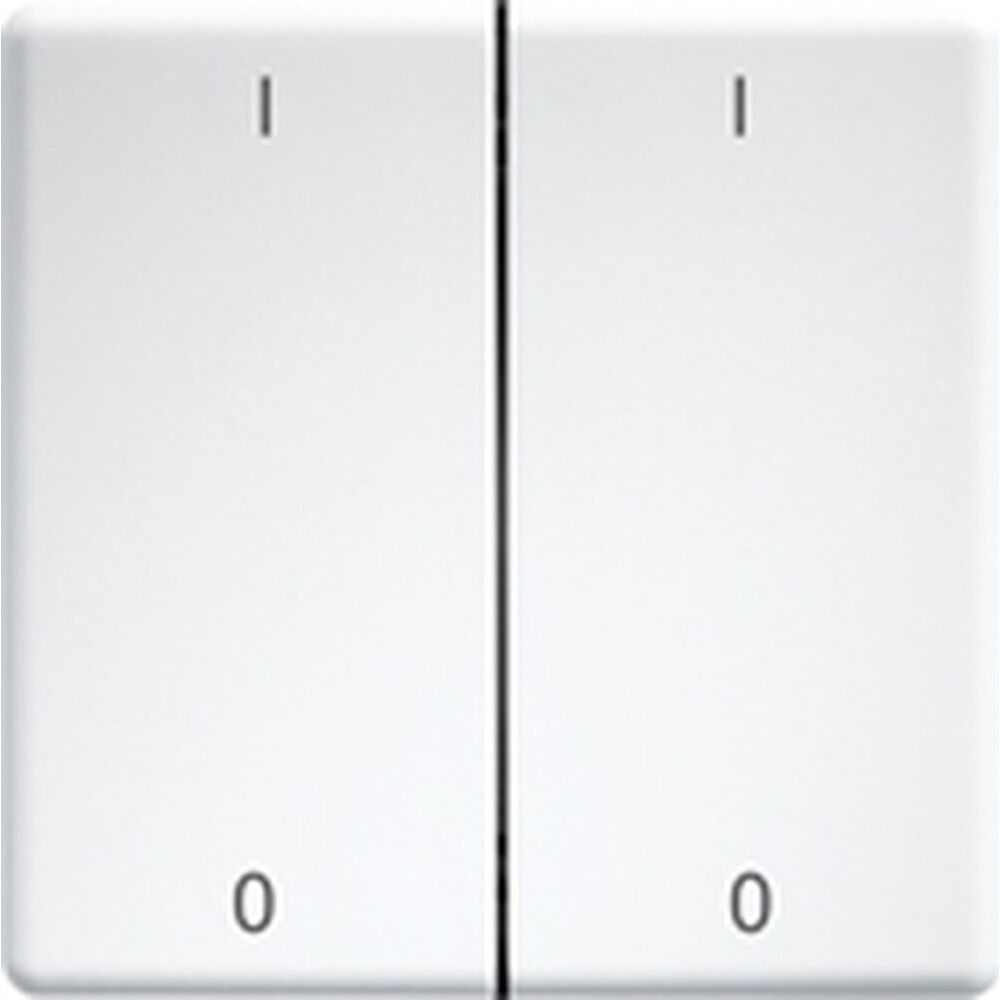 ELTAKO Doppelwippen 30000988 Typ DW-FT55-rw+IO