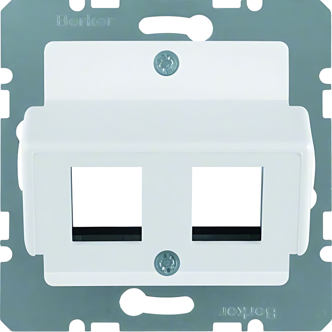 Berker Zentralplatte 14631909 