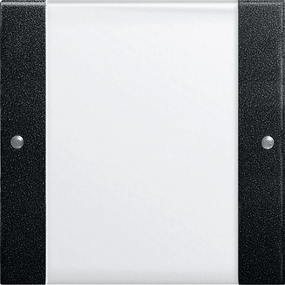 Gira Wippenset 2131005