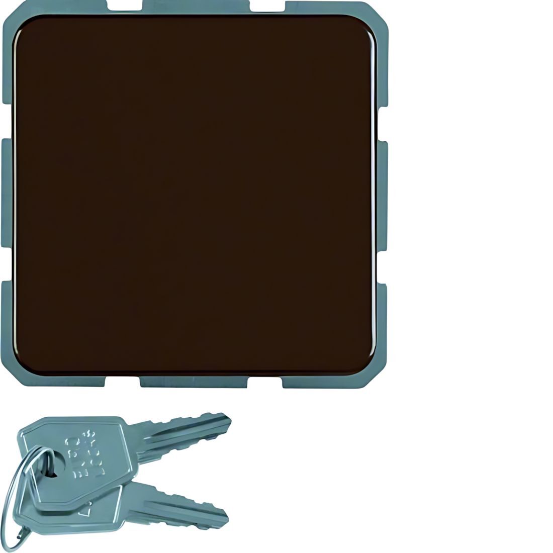 Berker Steckdose 476301 