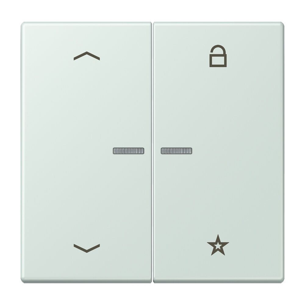 Jung Taster FMLC1701P215