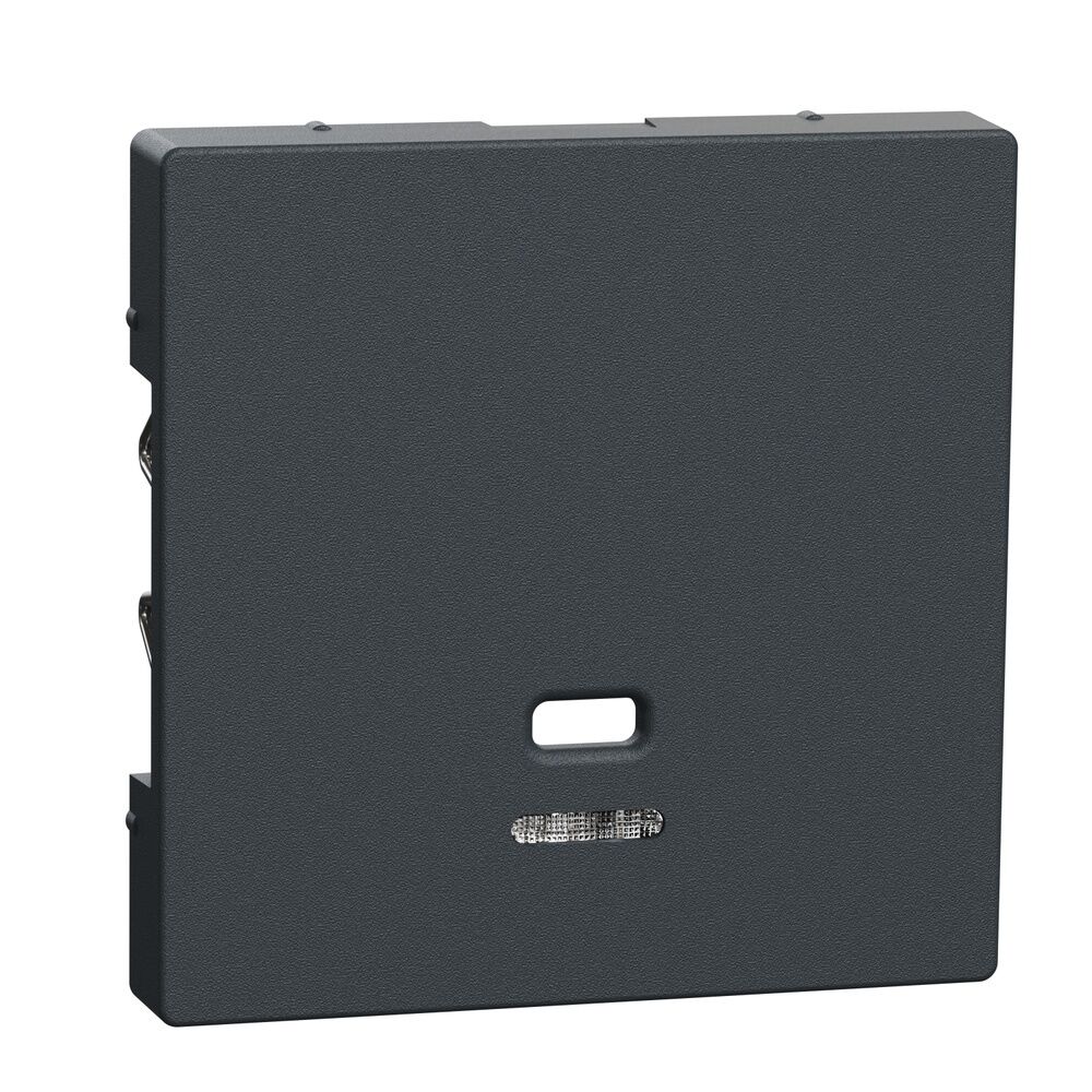 Merten Zentralplatte MEG3380-0414