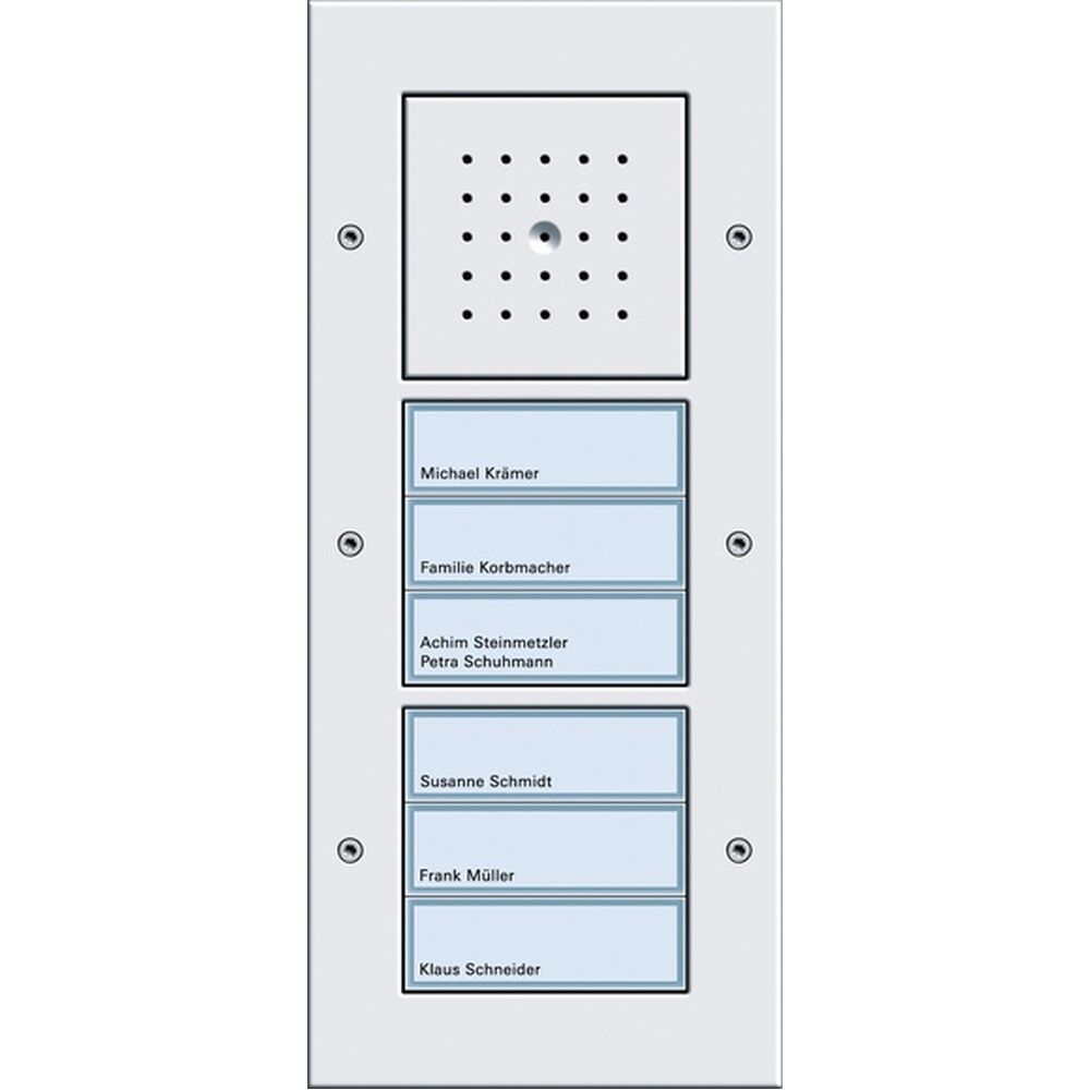 Gira Türstation AP 6fach 126866