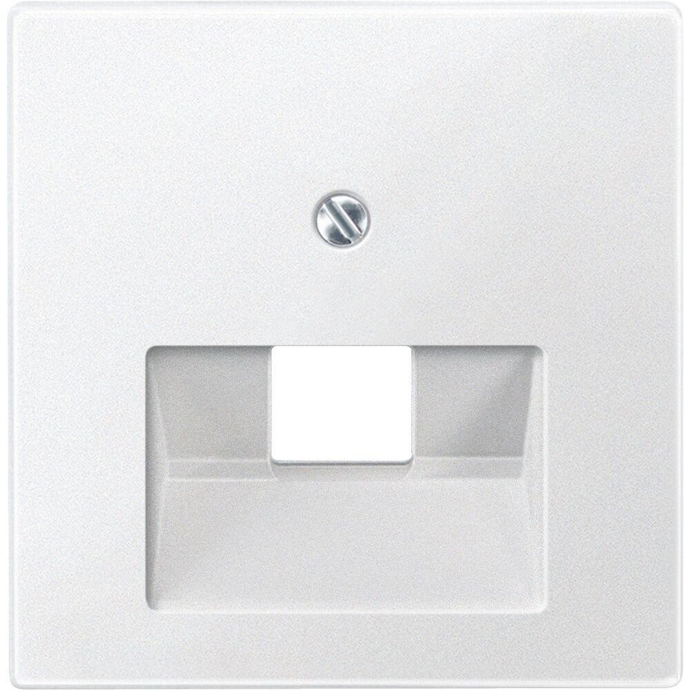 Merten Zentralplatte 298319