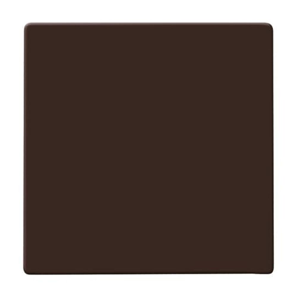 Busch-Jaeger Wippe 2106-31 Nr. 2CKA001731A1962 