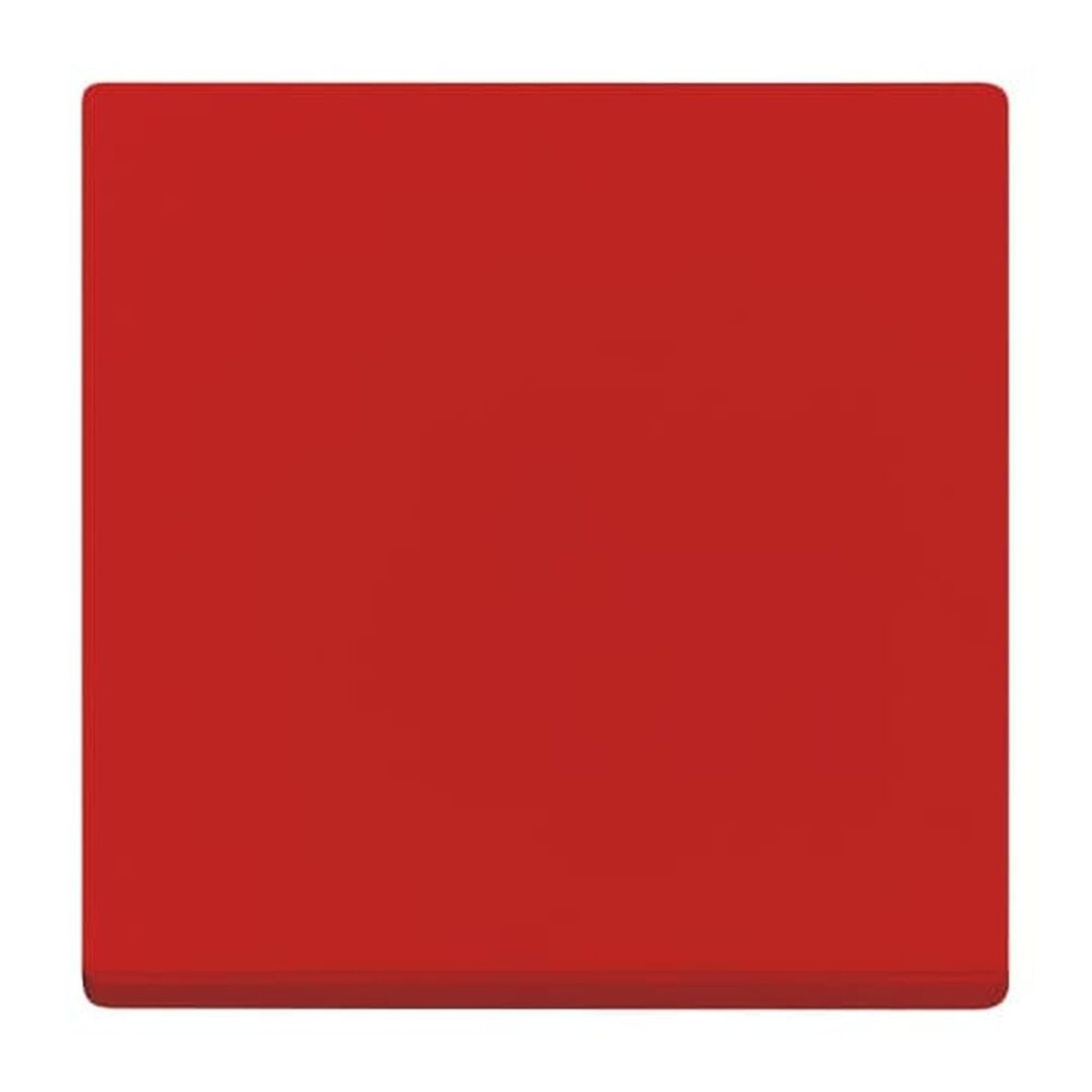 Busch-Jaeger Wippe 2506-917 Nr. 2CKA001731A2003