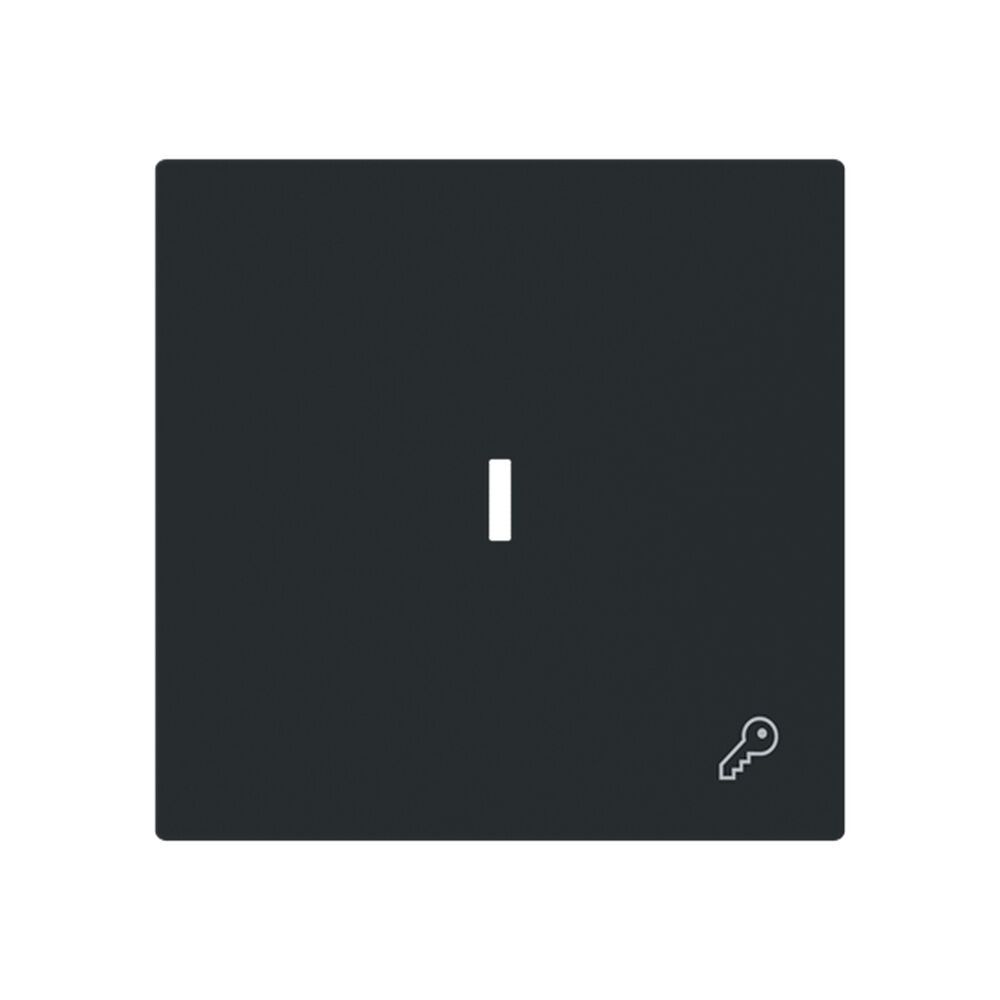 Busch-Jaeger Wippe 1789 TR-45M Typ 2CKA001751A3380