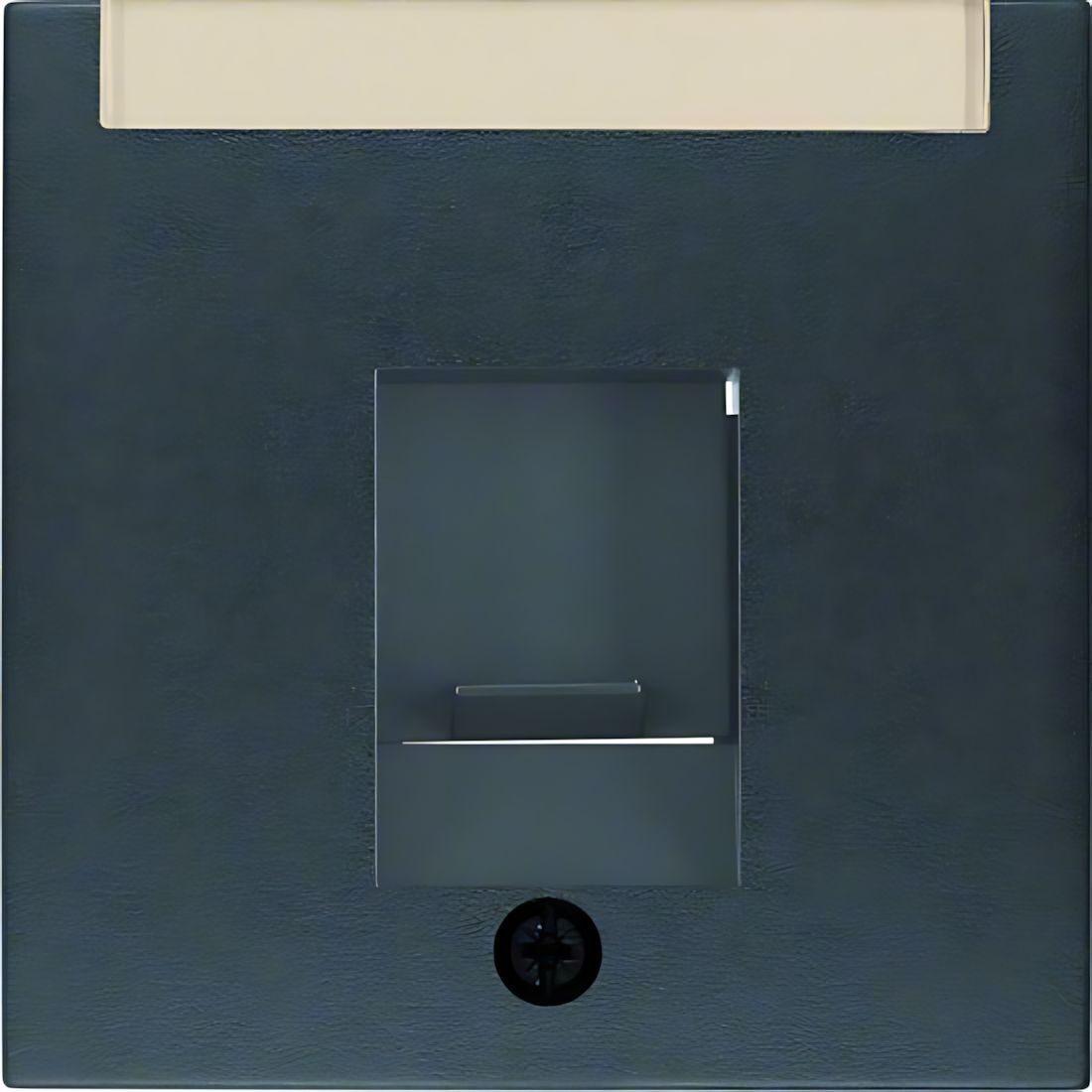 Berker Zentralstück 11701606