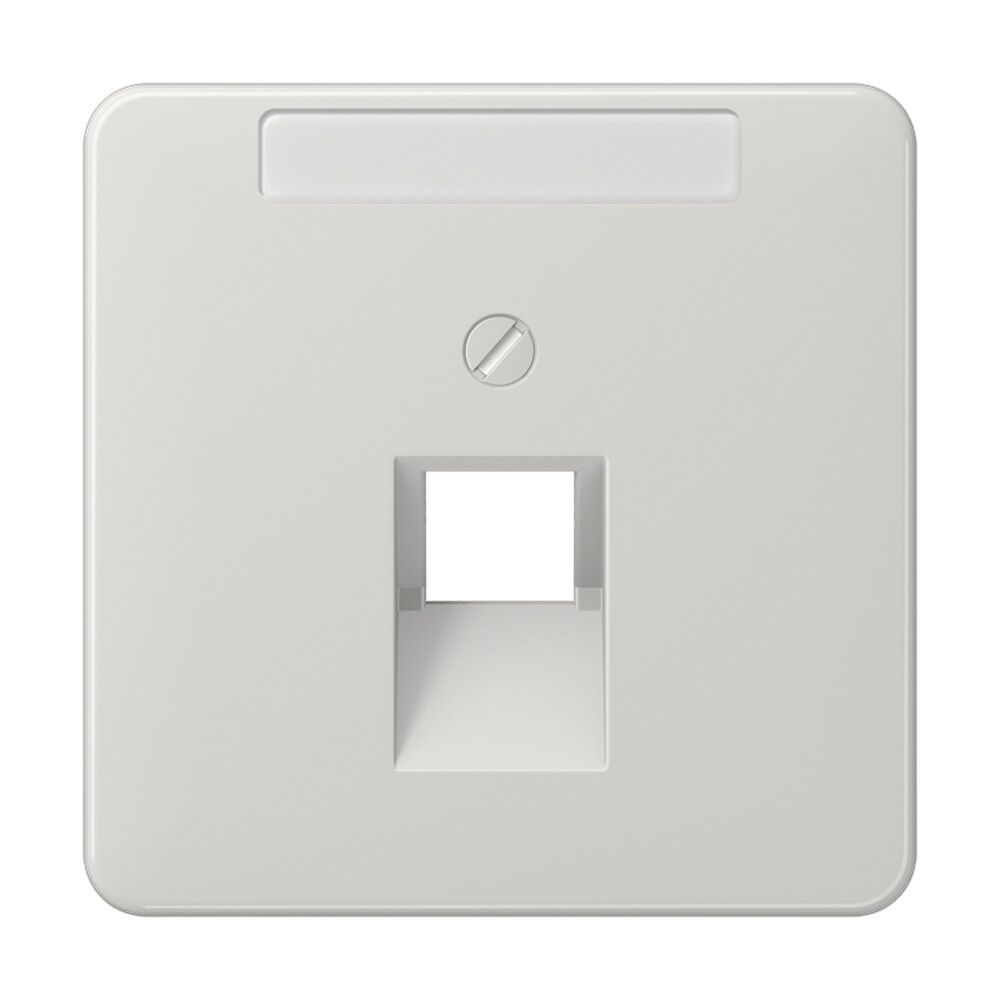 Jung Abdeckung IAE/UAE CD 569-1 NAUA LG