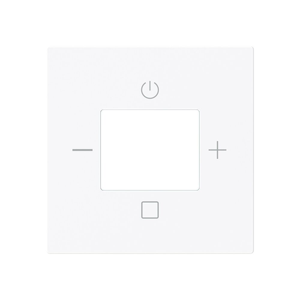 Busch-Jaeger Zentralscheibe 8252-44G-101 Typ 2CKA008200A0285