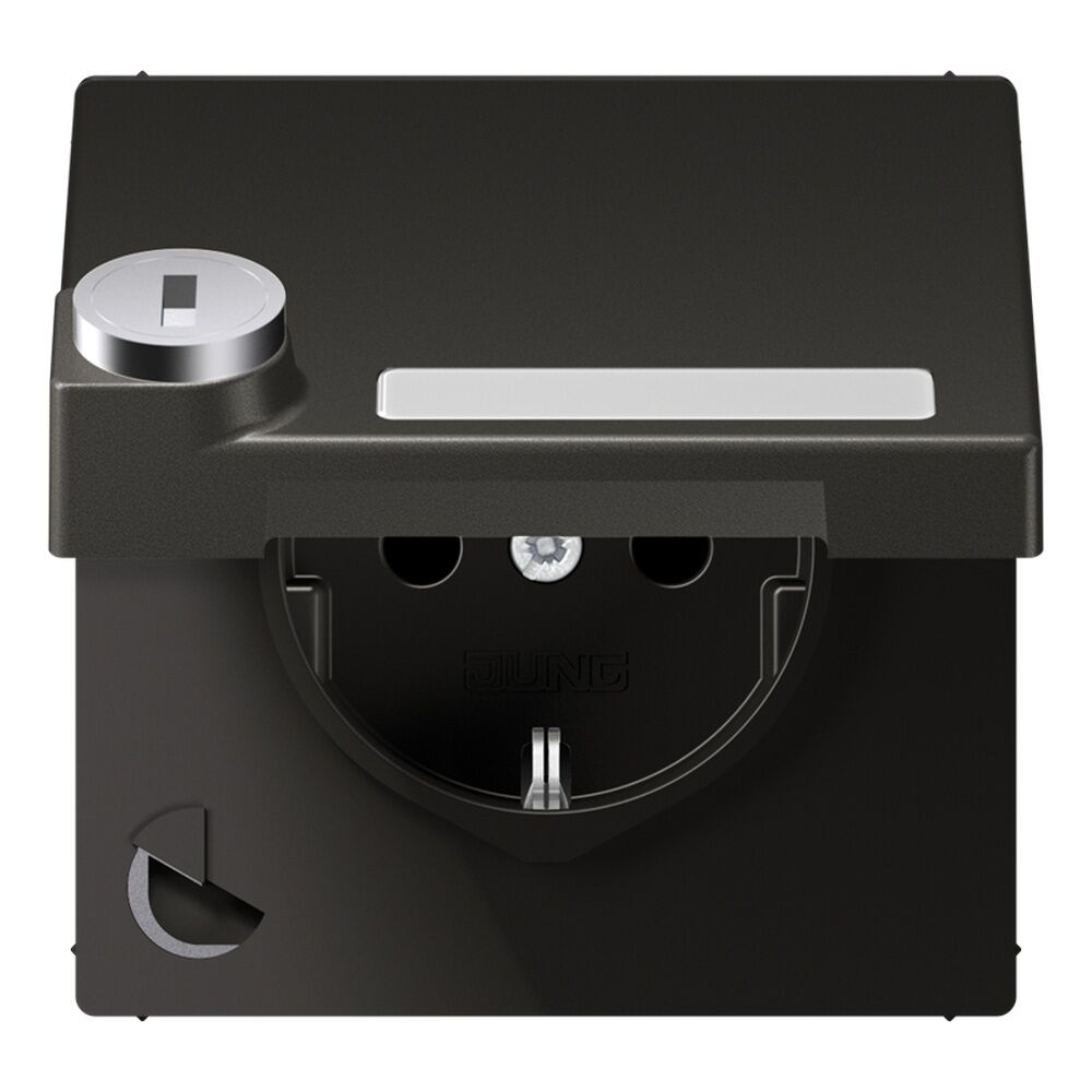 Jung Schutzkontakt Steckdose AL 1520 NAKLSL AN