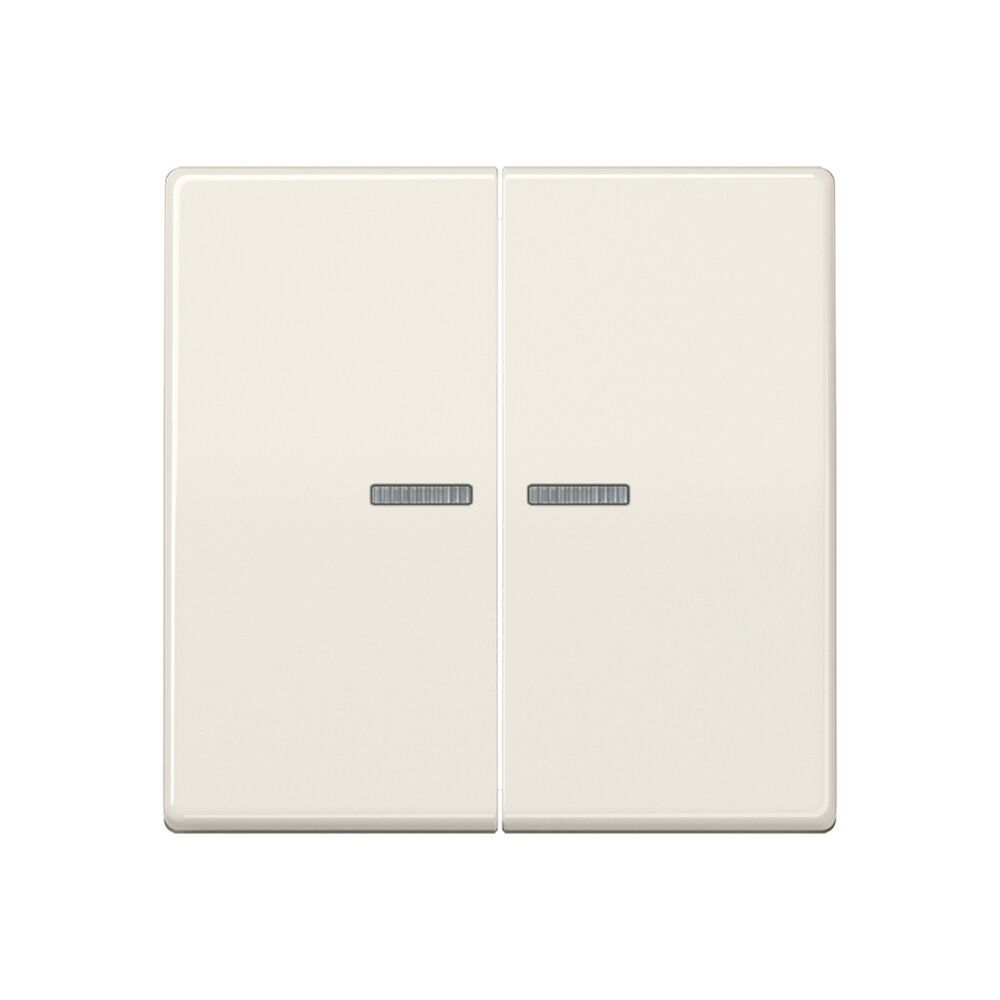 Jung JUNG HOME Taster BTAS17102