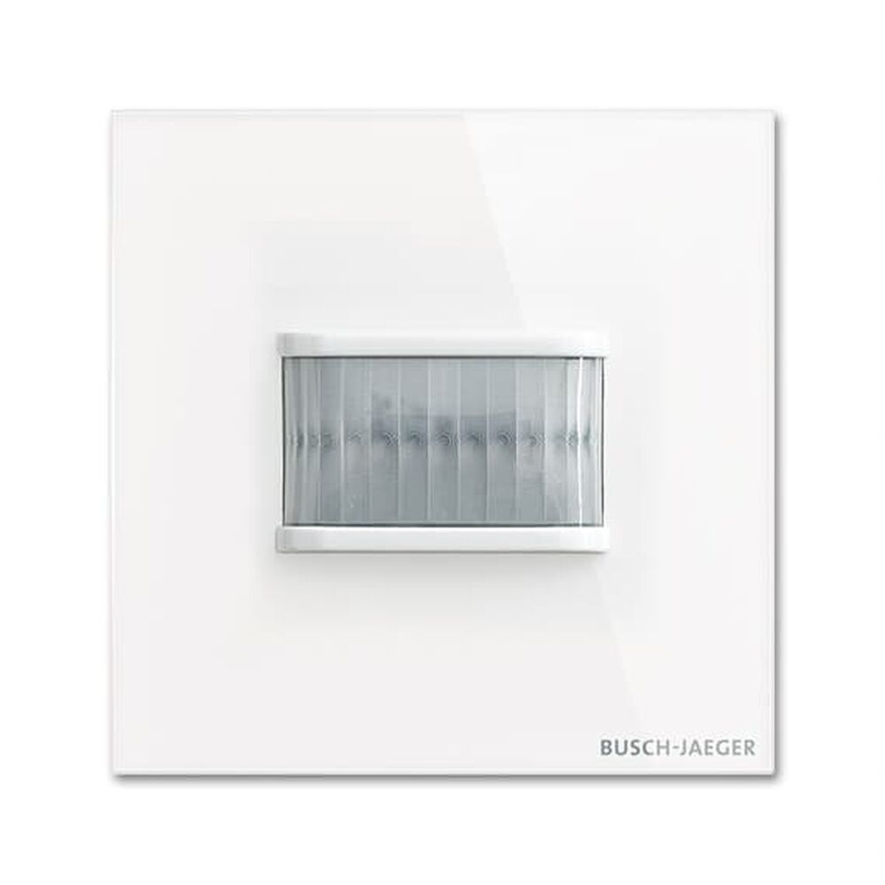 Busch-Jaeger Wächter TBW/U.1.11-CG Nr. 2CKA006300A1568 