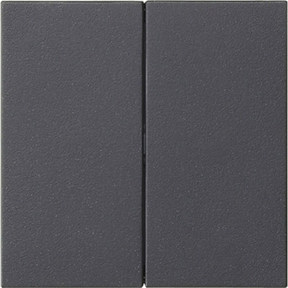 Gira Wippe 2fach 537028