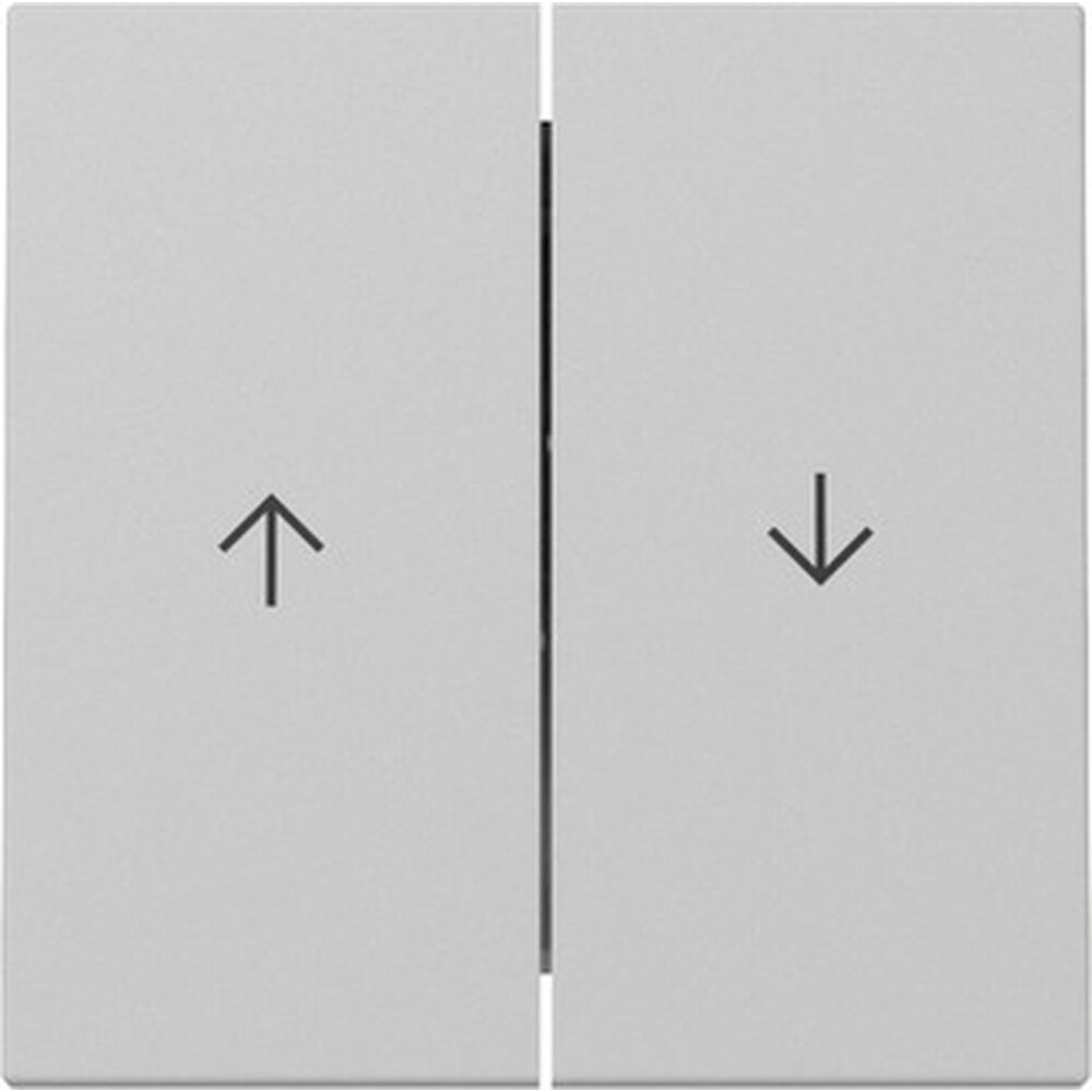 Gira Wippe 2fach 3294015