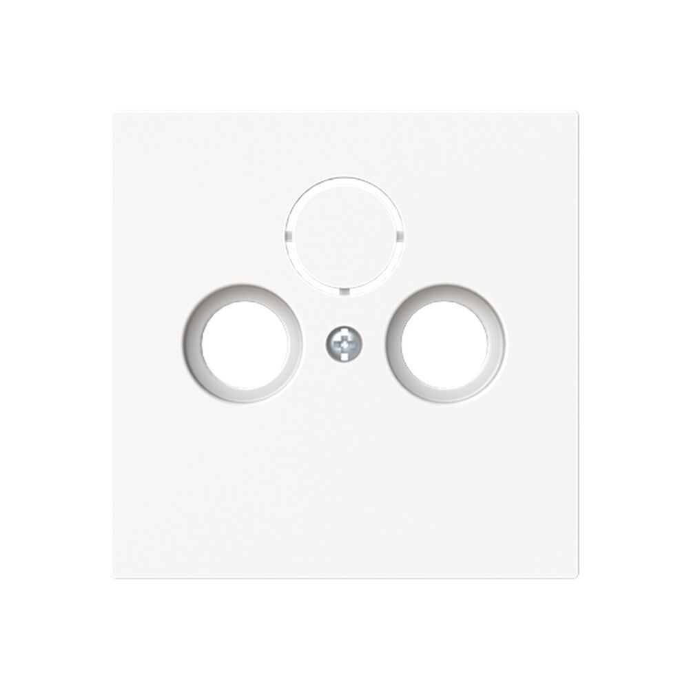 Busch-Jaeger Zentralscheibe 1743-44M Typ 2CKA001724A4433