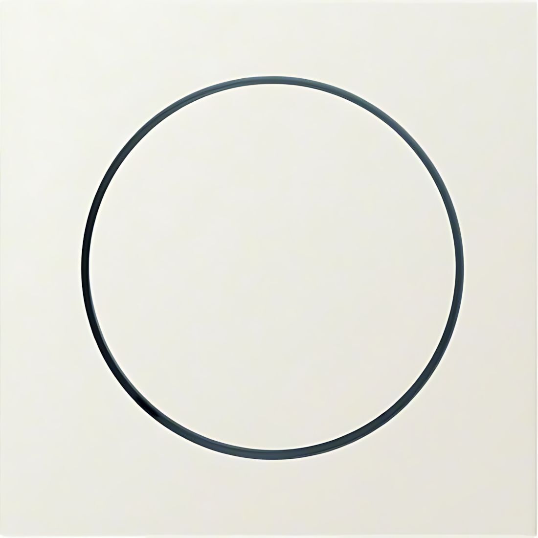 Berker Zentralstück 11378982