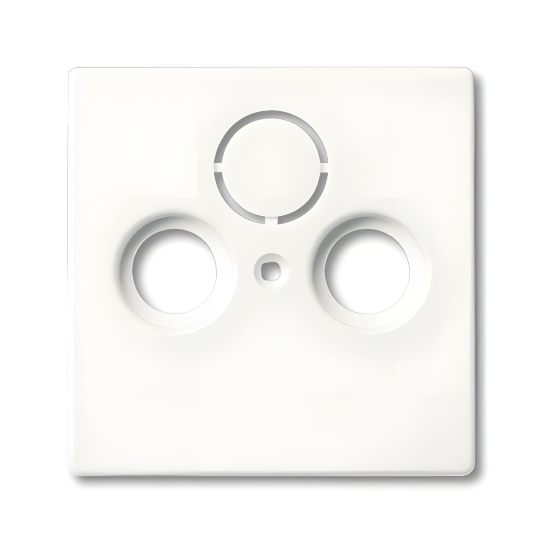 Busch-Jaeger Zentralscheibe 1743-884 Nr. 2CKA001724A4293