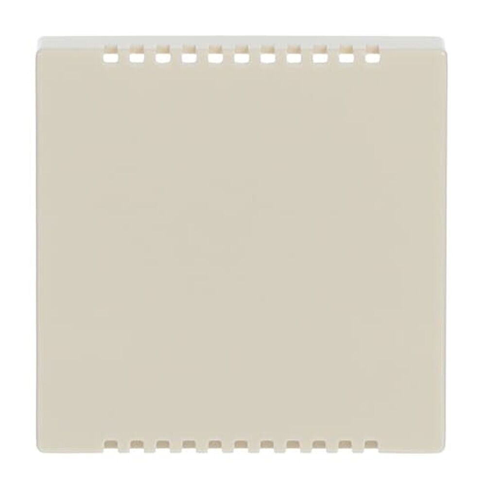 Busch-Jaeger Zentralscheibe 6541-82 Nr. 2CKA006599A2832