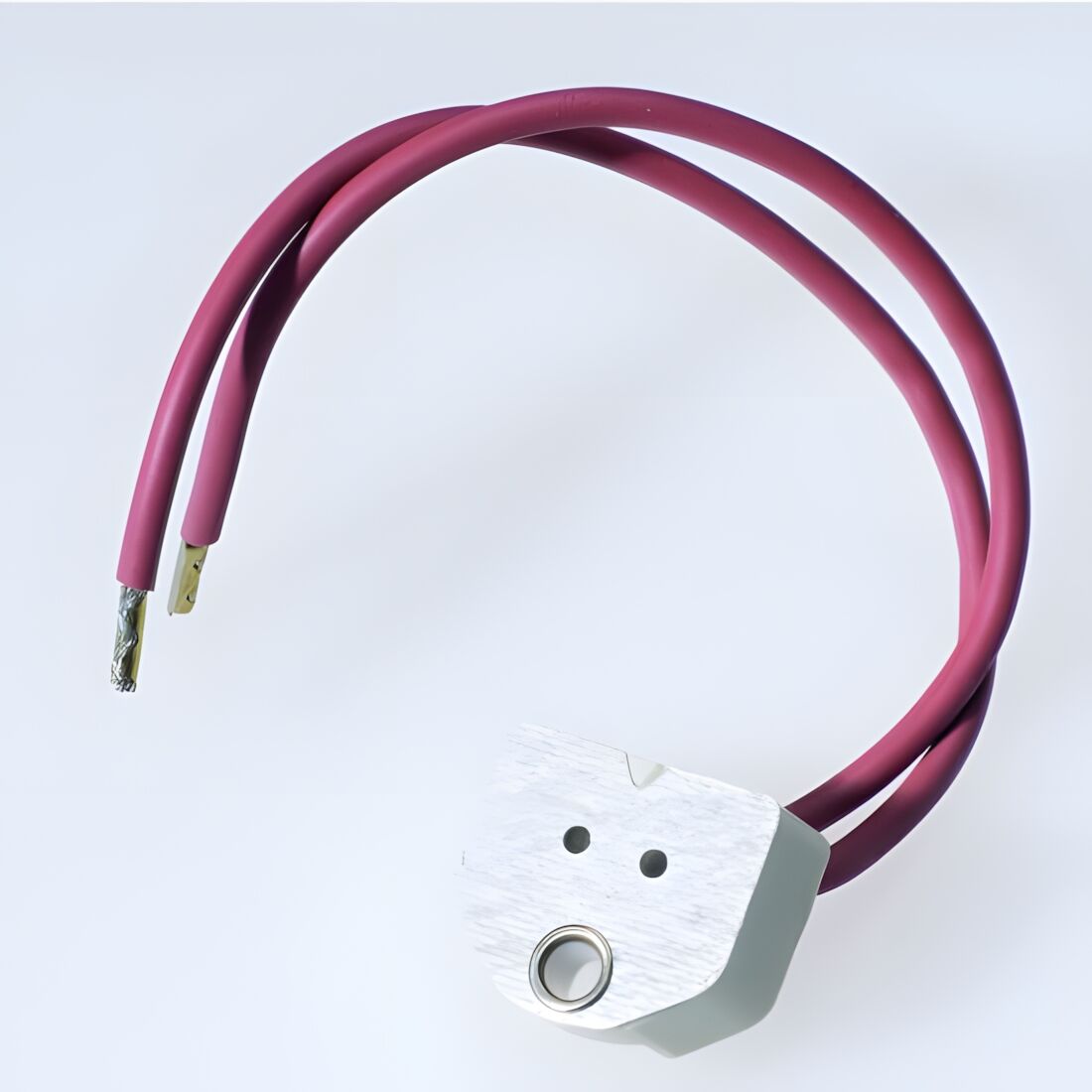 Schaum Halofassung 235519