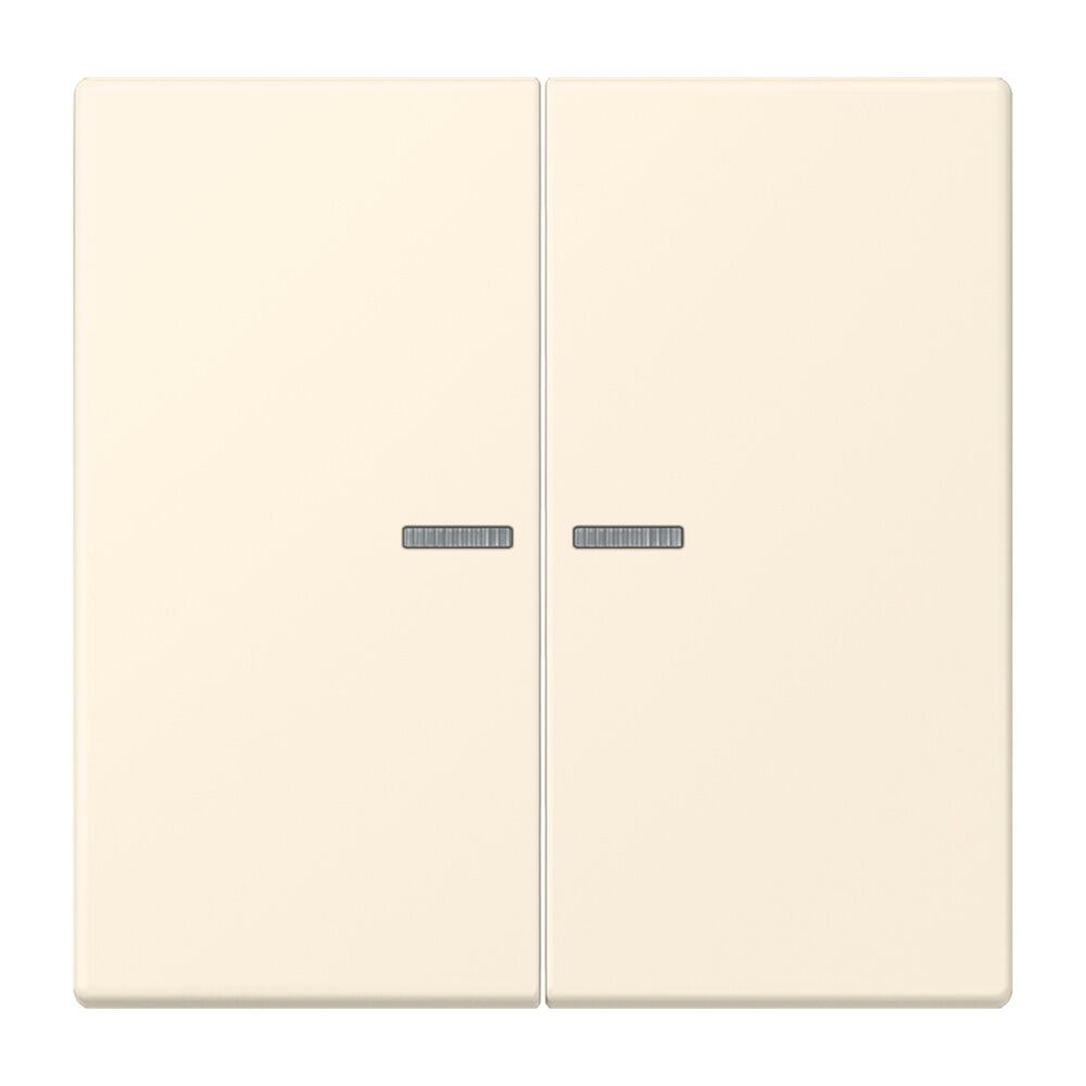 Jung JUNG HOME Taster BTLC17102245 