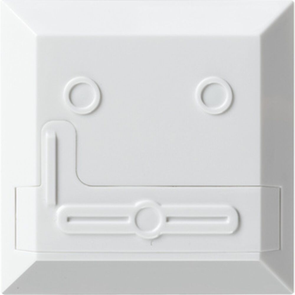 Gira Montageplatte 527200 