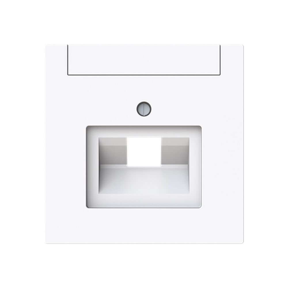 Busch-Jaeger Zentralscheibe 1803-44G Typ 2CKA001710A4219