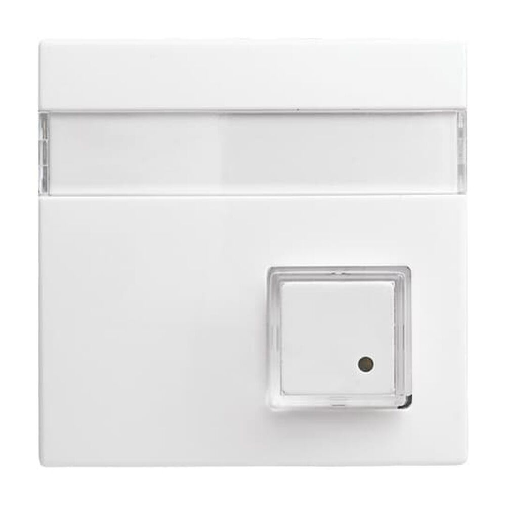 Busch-Jaeger Zentralscheibe 1571 CN-914 Nr. 2CKA001582A0397 