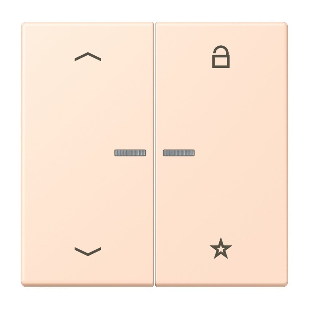 Jung Taster FMLC1701P228