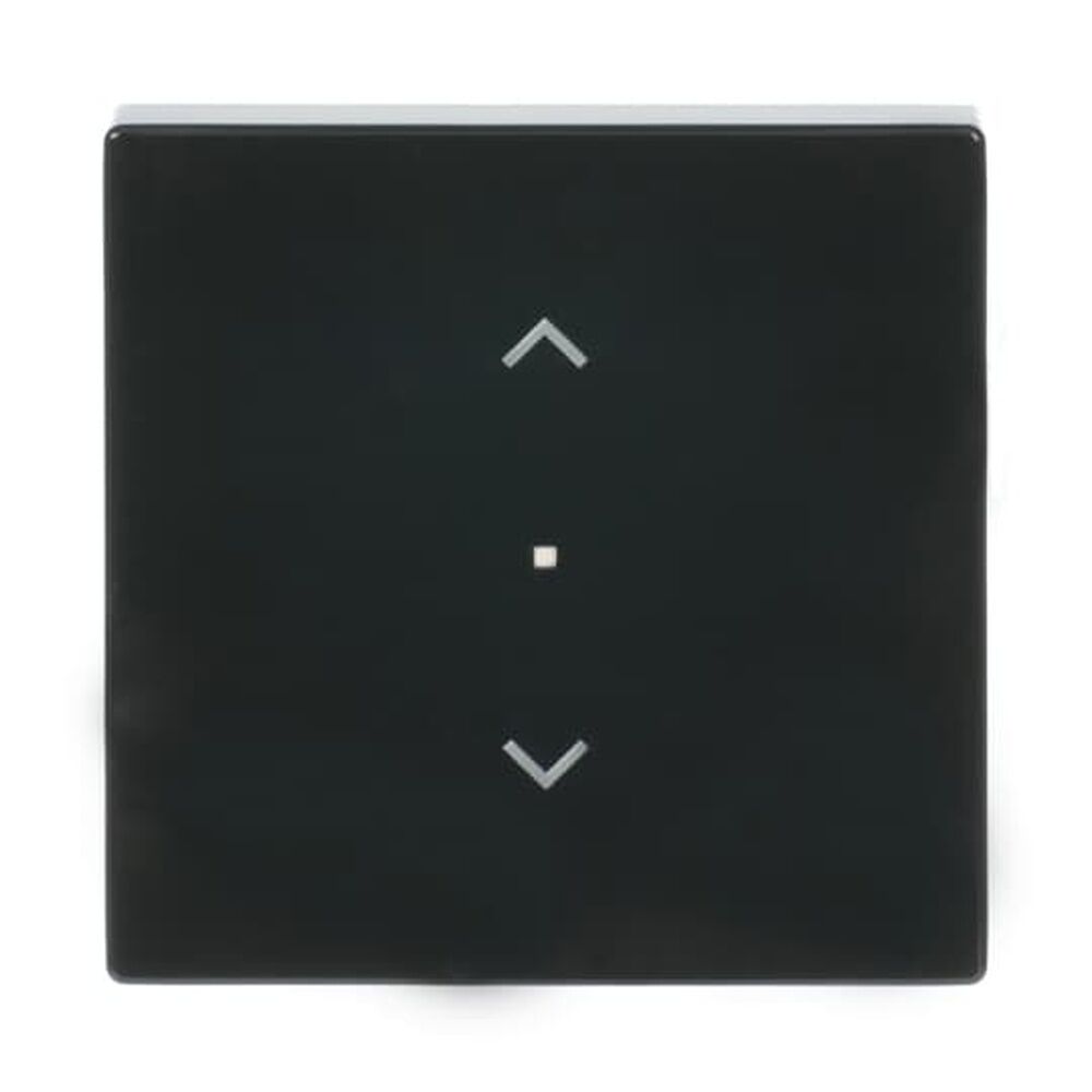 Busch-Jaeger Wippe 6232-10-81 Nr. 2CKA006220A0038