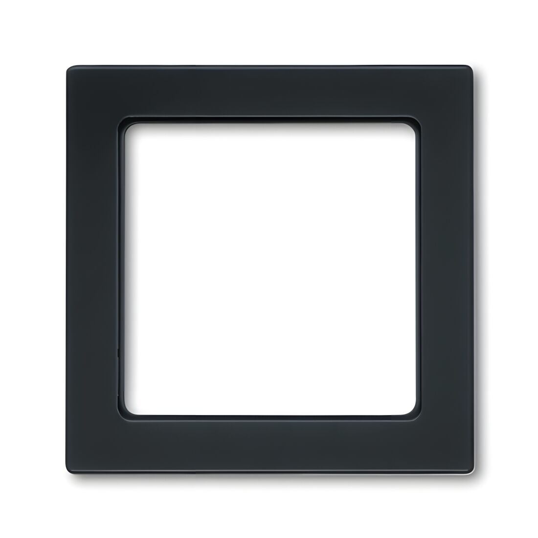 Busch-Jaeger Zentralscheibe 8251-81 Nr. 2CKA008200A0031