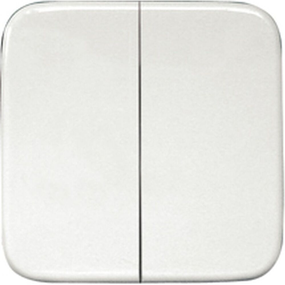 ELTAKO Doppelwippe 30000968 Typ DW-FT55R 