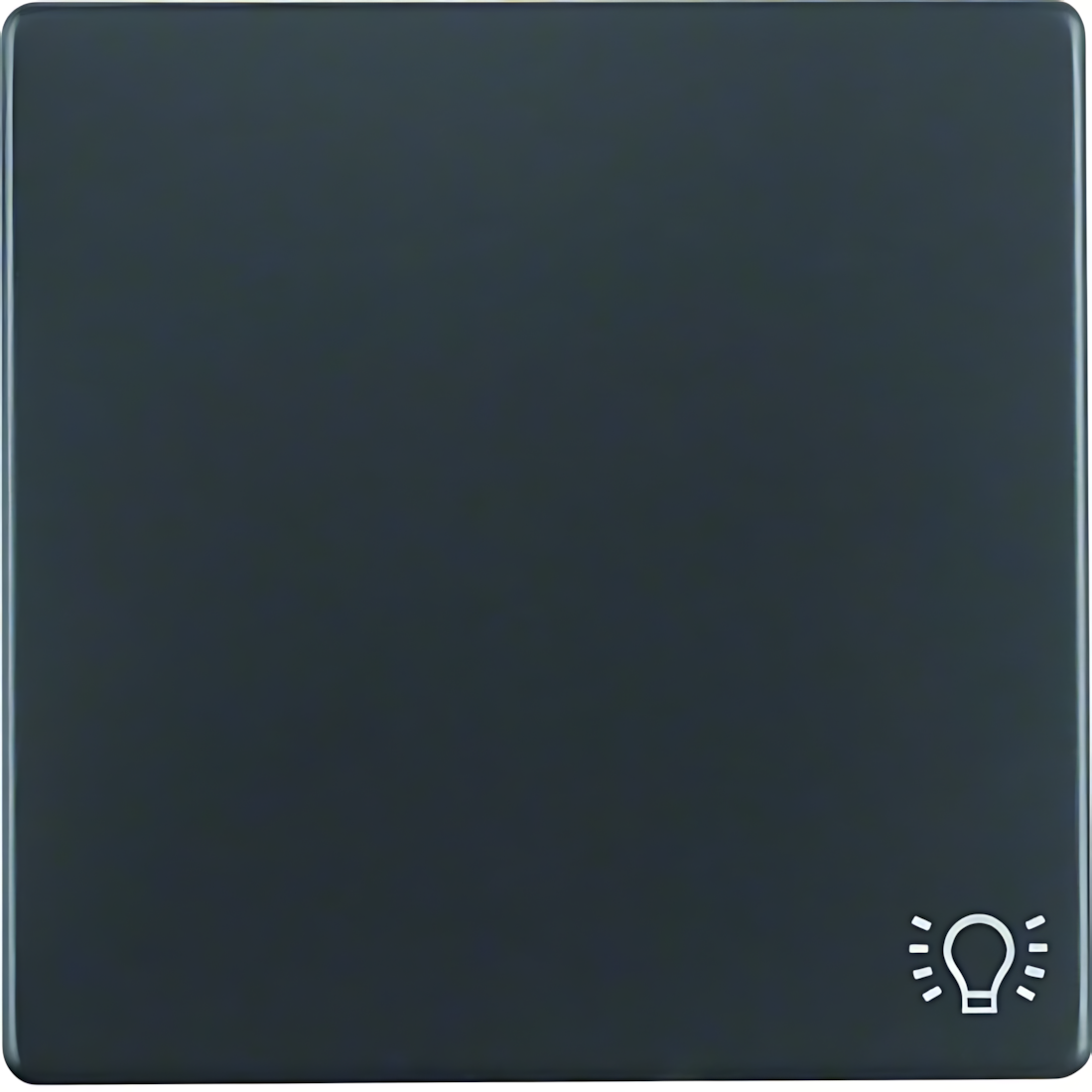 Berker Wippe 16206046 