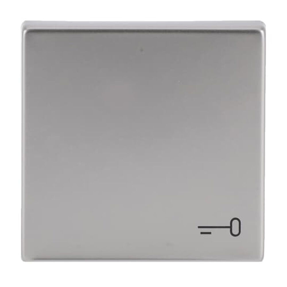 Busch-Jaeger Wippe 2520 TR-866 Nr. 2CKA001751A3200 