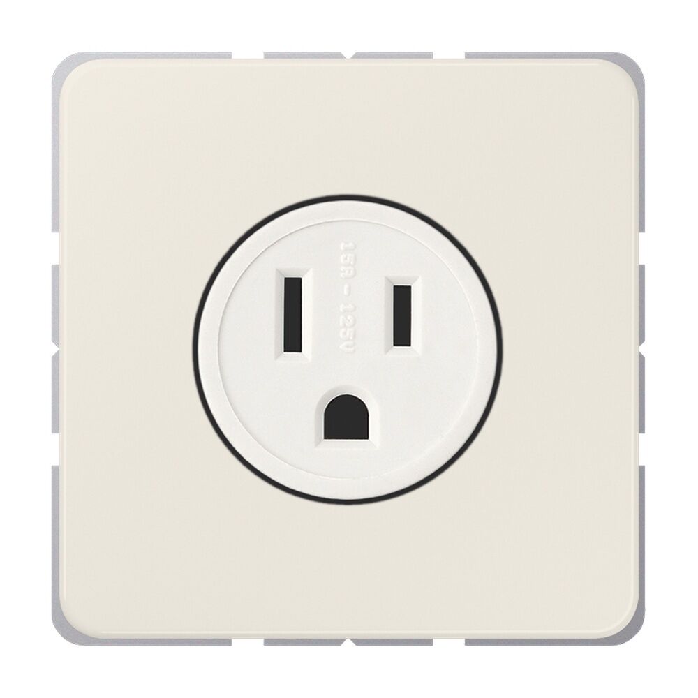 Jung Nema Steckdose CD 521-15