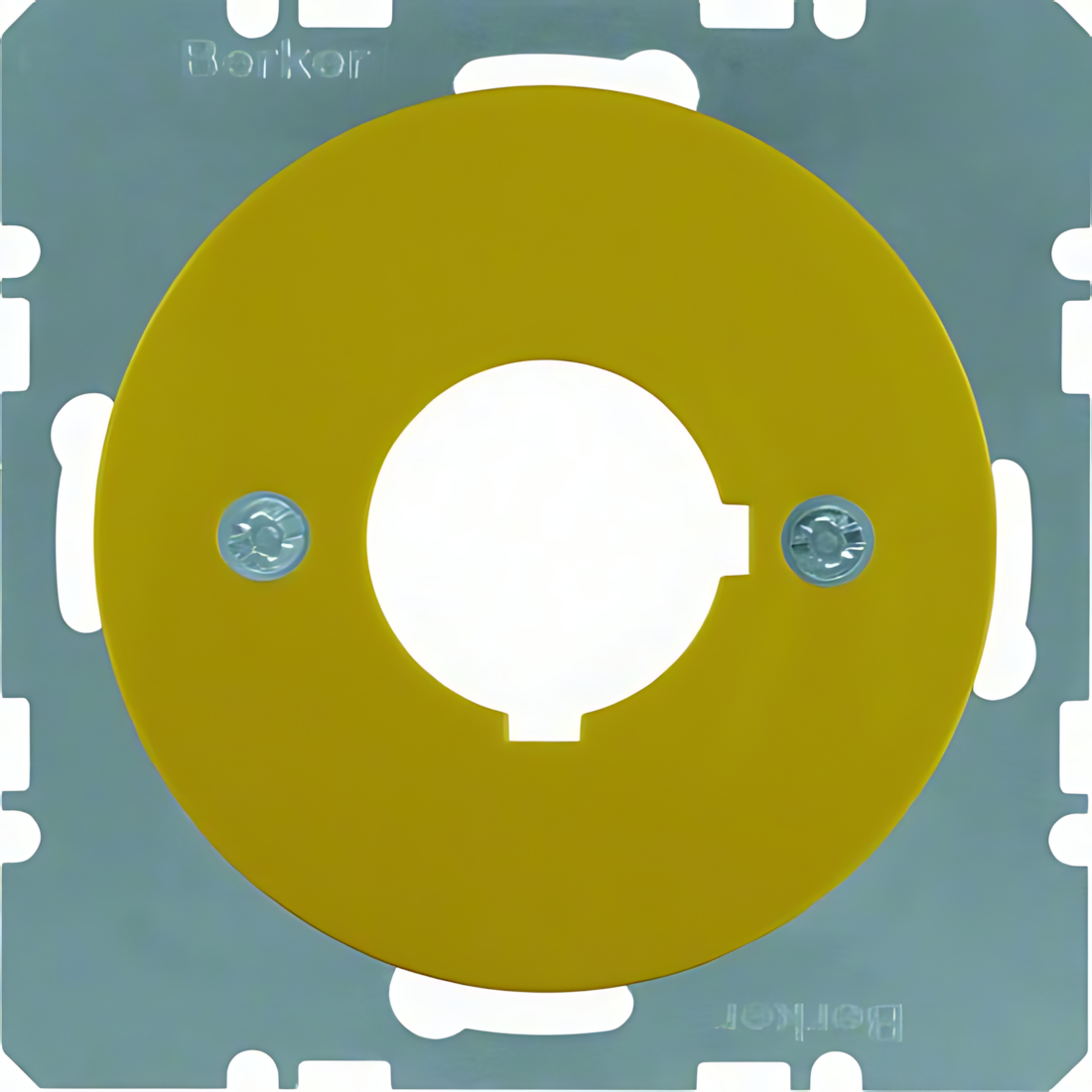 Berker Zentralplatte 14322006