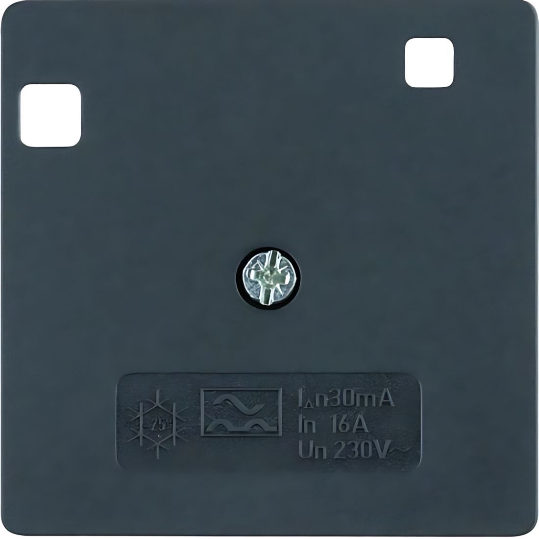 Berker Zentralstück 14961606 