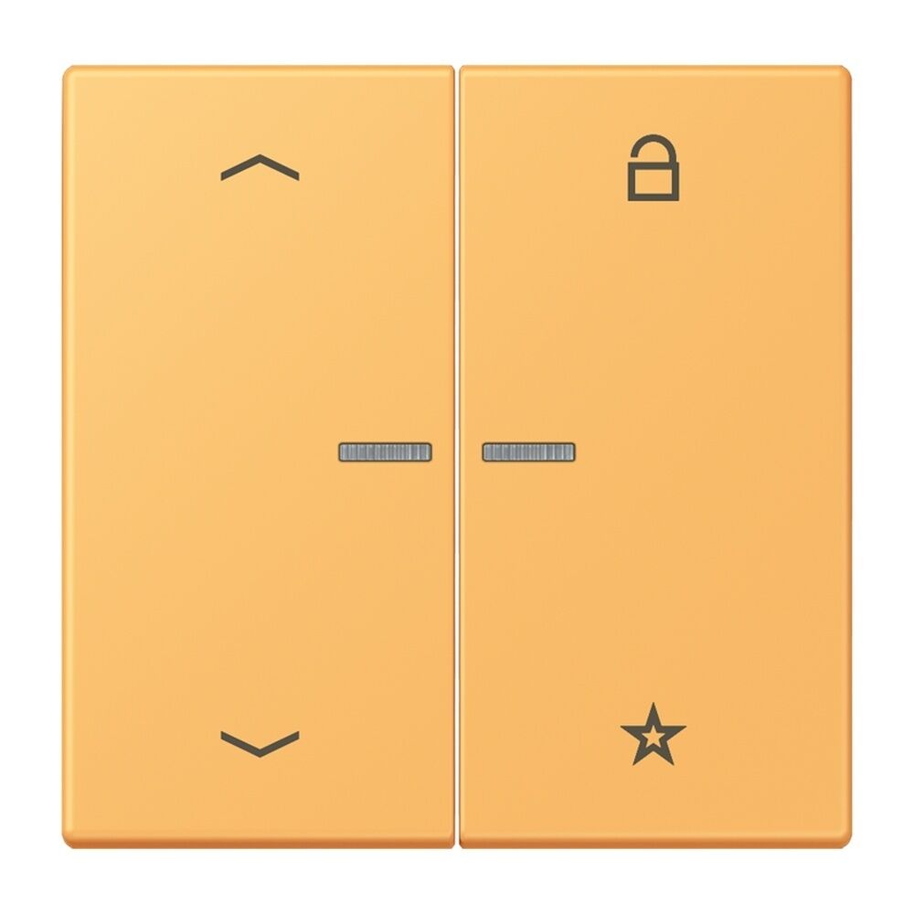 Jung Taster FMLC1701P254