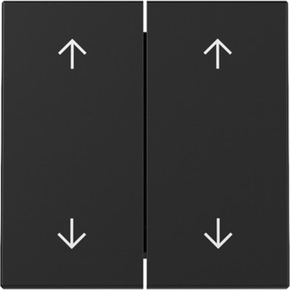 Gira Wippe 2fach 3297005