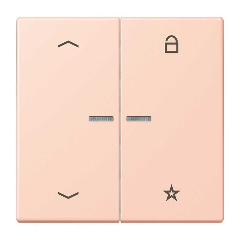 Jung Taster FMLC1701P234