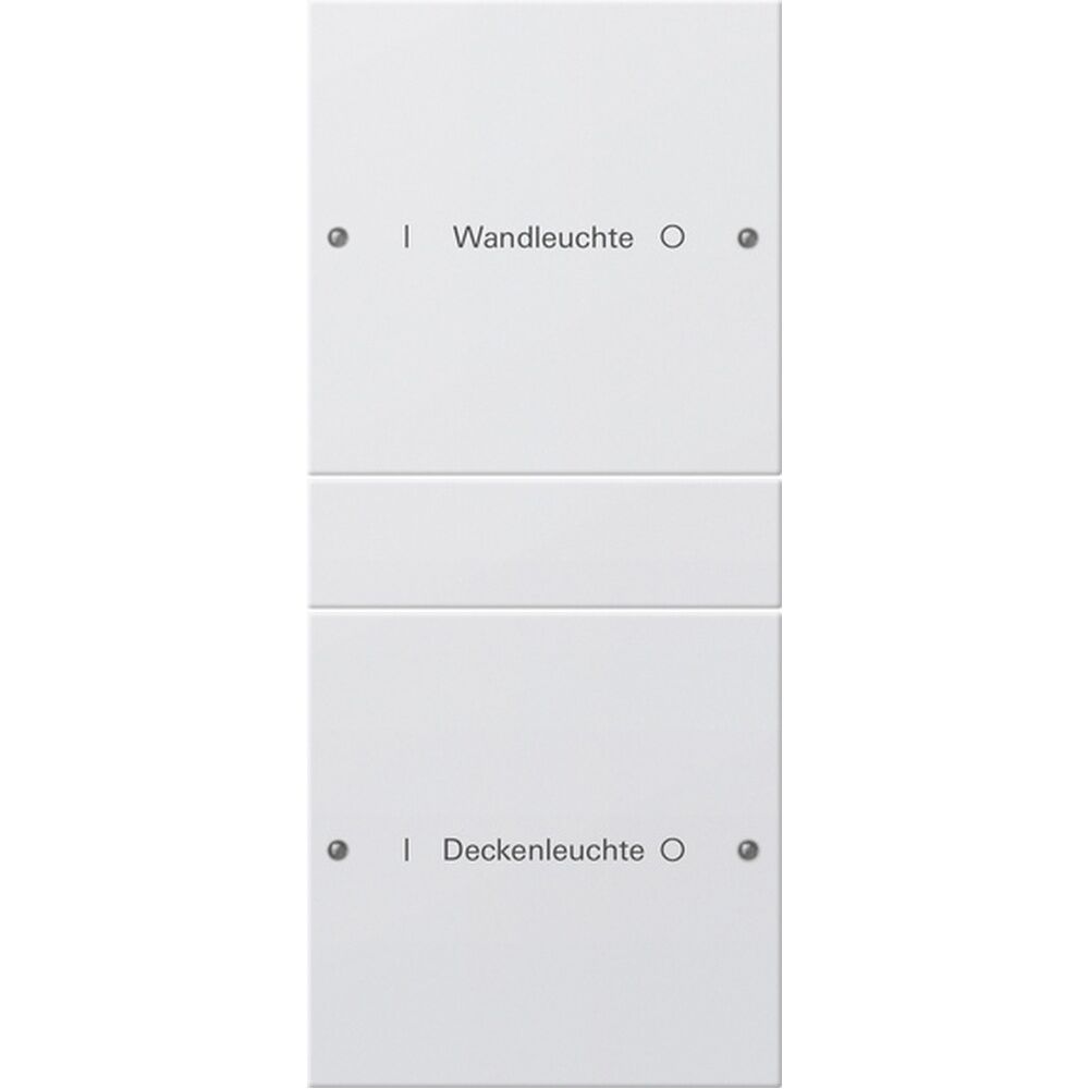 Gira Wippenset 2fach 220203