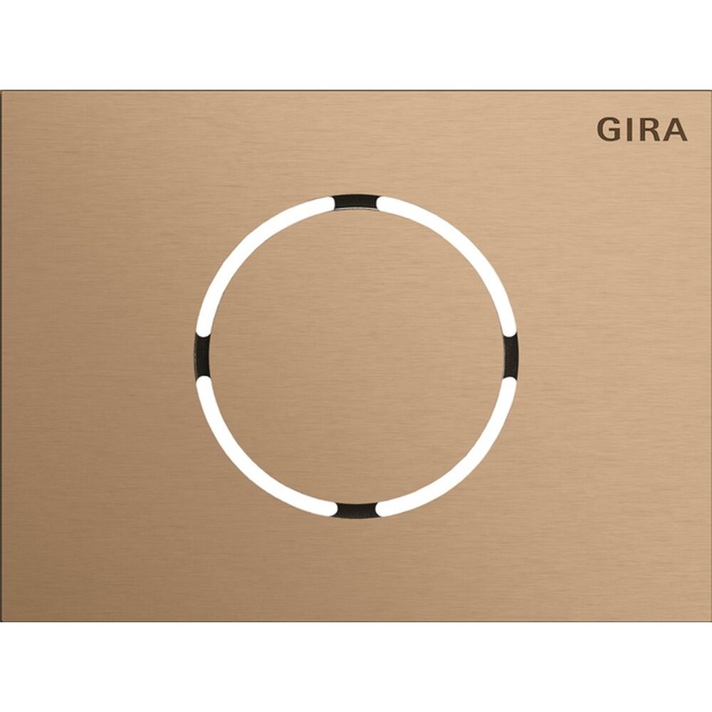 Gira Frontplatte 5579921