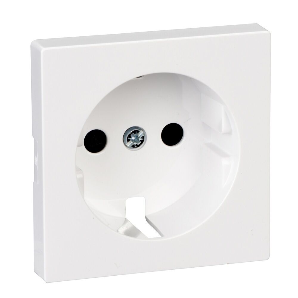 Merten Zentralplatte MEG2330-0325