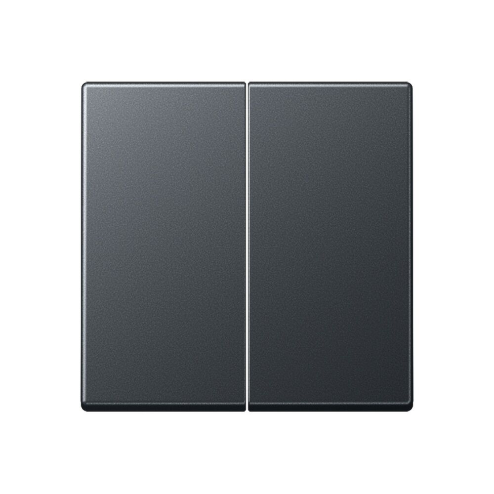 Jung Wippe A 595 BF ANM 