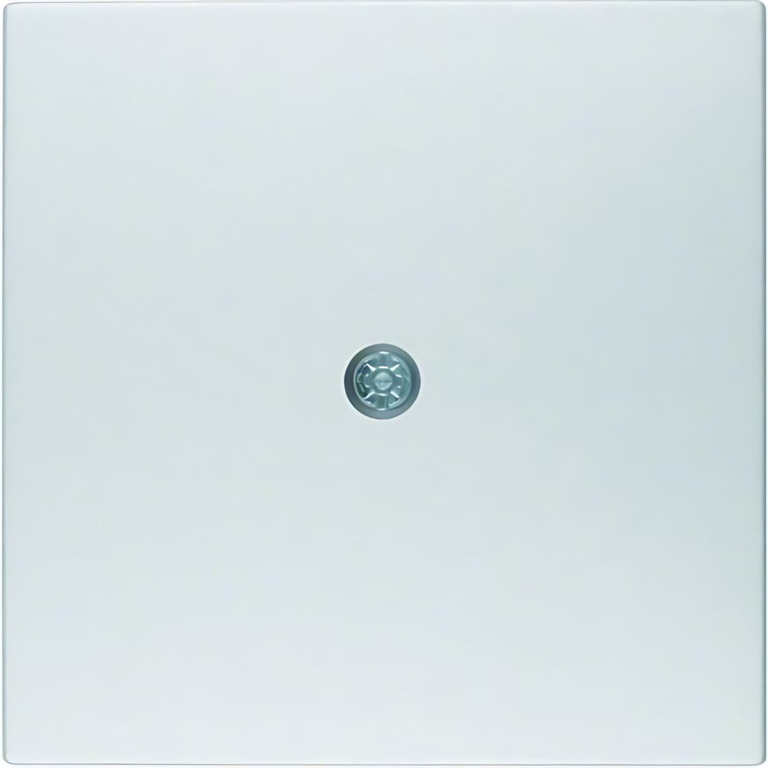 Berker Zentralstück 10191404