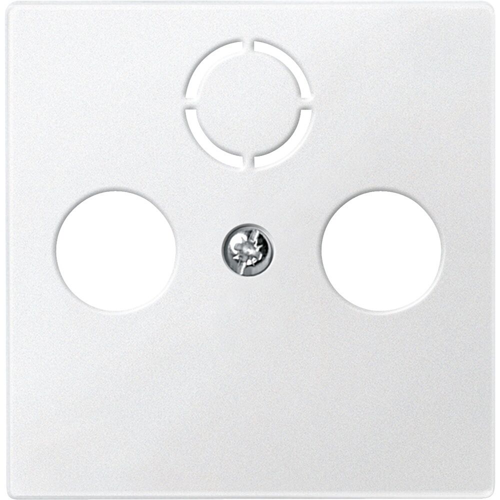 Merten Zentralplatte 297519