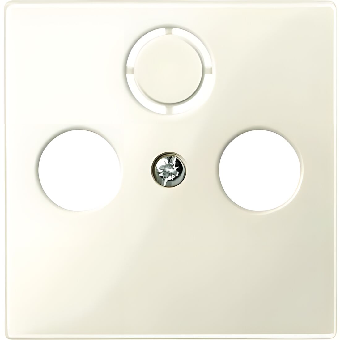 Merten Zentralplatte 296744