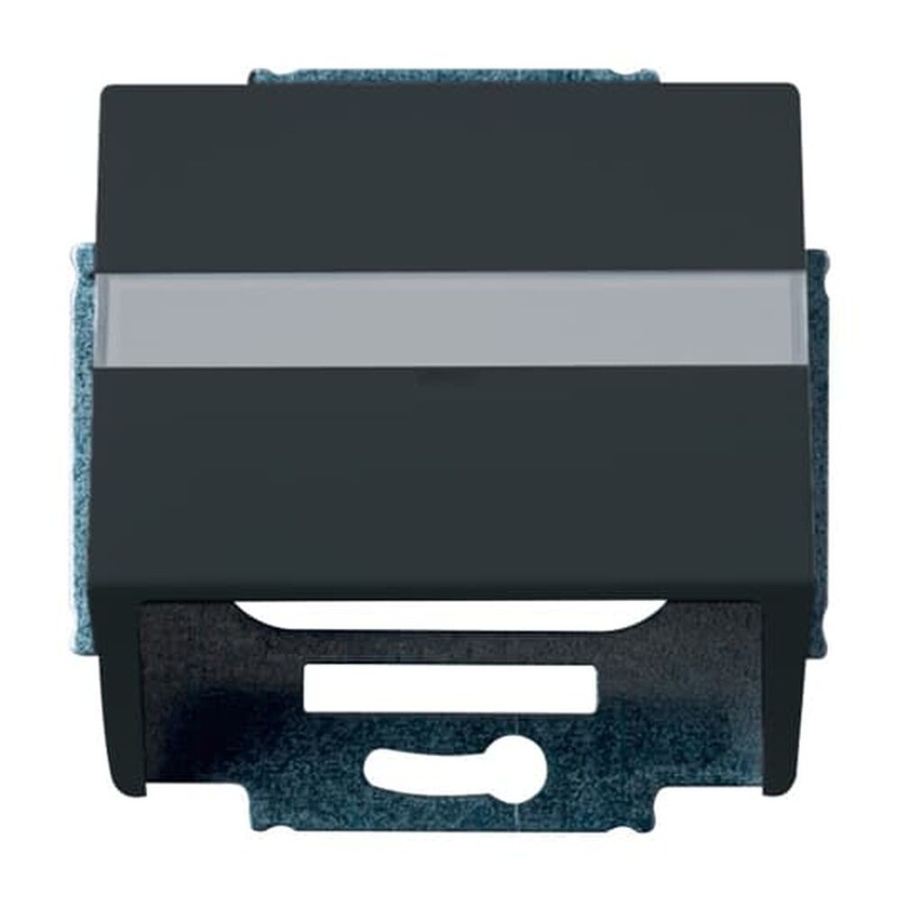 Busch-Jaeger Zentralscheibe 1758-81 Nr. 2CKA001724A4253