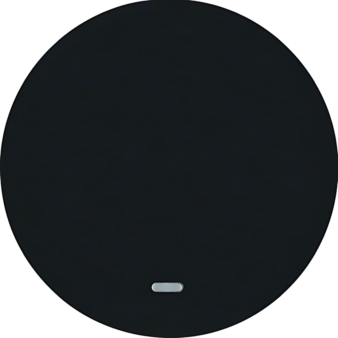 Berker Wippe 16212045 