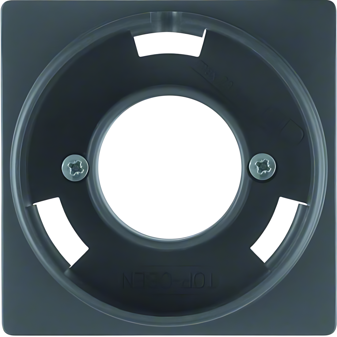 Berker Zentralstück 11986086 